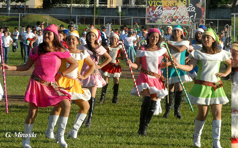 bandas